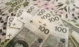 Stos banknotów 100 zł na tle z kwiatowym wzorem.