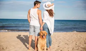 Para młoda z psem na plaży, ciesząca się słońcem. Marzymy, by taki urlop trwał od kiedy 35 dni urlopu.