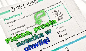 Jakie zeszyty do liceum wybrać, aby uniknąć chaosu w notatkach?