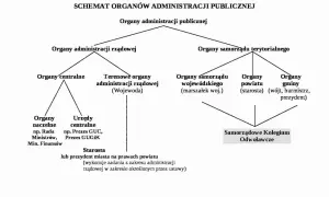 Schemat podziału organów administracji publicznej na rządowe i samorządowe.