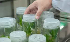 Czy po biotechnologii można uczyć w szkole? Sprawdź wymagania nauczycieli