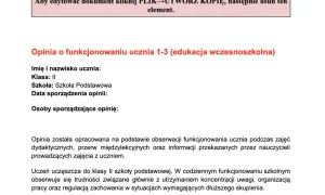 Opinia o funkcjonowaniu ucznia z klasy II szkoły podstawowej, opisująca trudności z koncentracją i organizacją.