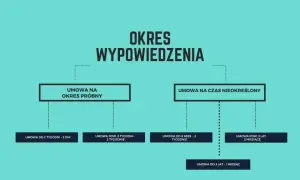 Schemat przedstawia okresy wypowiedzenia umów. Dowiedz się, od kiedy 1-miesięczny okres wypowiedzenia się liczy w zależności od rodzaju umowy.