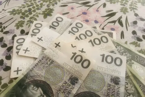 Stos banknotów 100 zł na tle z kwiatowym wzorem.