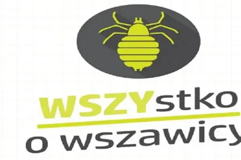 Czy pielęgniarka szkolna może sprawdzać głowy dzieci bez zgody rodziców?