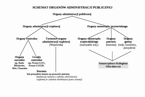 Schemat podziału organów administracji publicznej na rządowe i samorządowe.