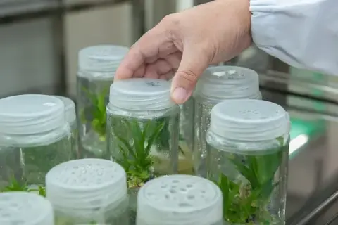 Czy po biotechnologii można uczyć w szkole? Sprawdź wymagania nauczycieli