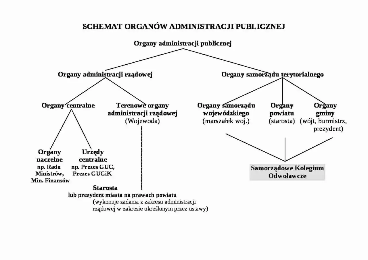 Schemat podziału organów administracji publicznej na rządowe i samorządowe.