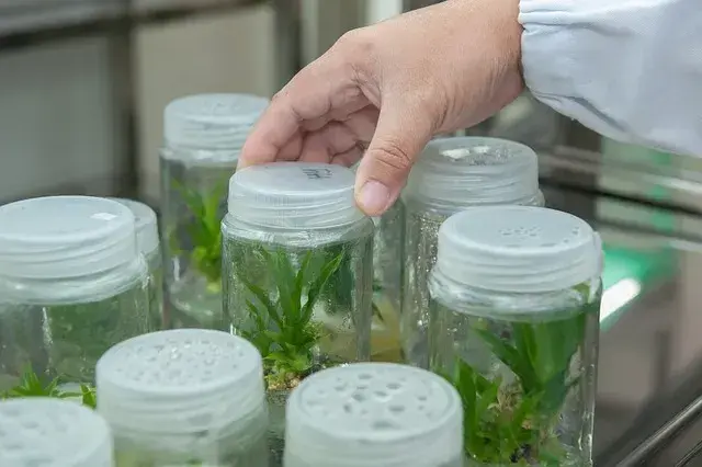 Czy po biotechnologii można uczyć w szkole? Sprawdź wymagania nauczycieli