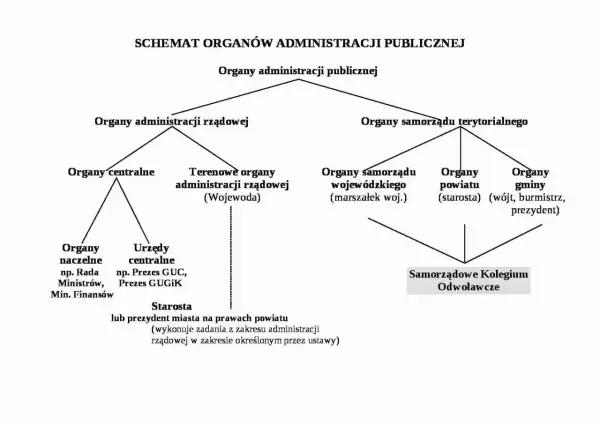 Schemat podziału organów administracji publicznej na rządowe i samorządowe.